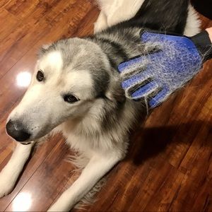 Pet grooming glove